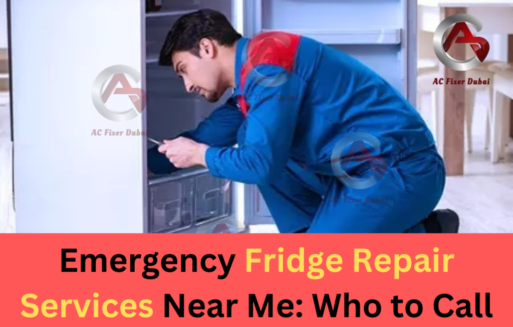 Fridge Repair Services